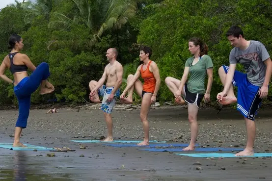 Bodhi surf