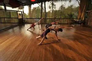 Danyasa