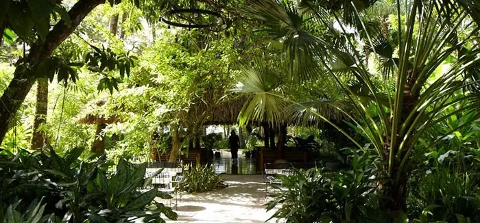harmony hotel