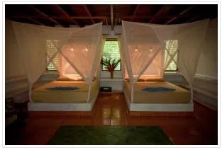 Decorated bed with lighting
