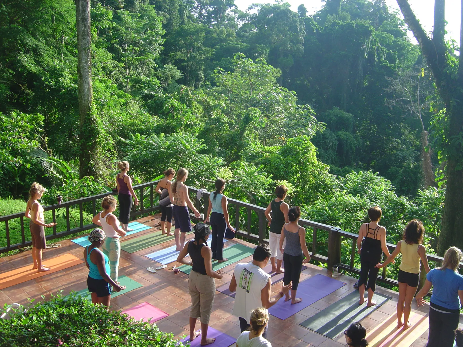 Particpants are prcticing yoga on a roof surrounded by a tropical forest samasati nature retreat