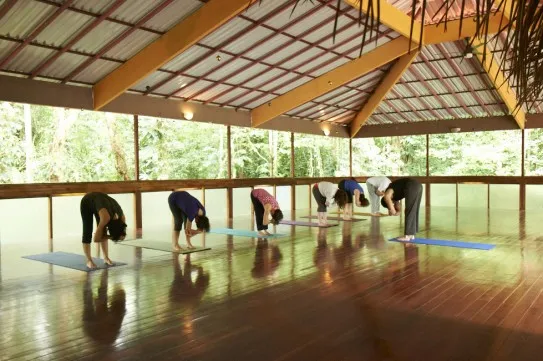 Participants are practicing yoga posture in The Goddess Garden