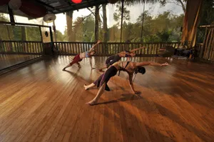 Particants are in Yoga practice
