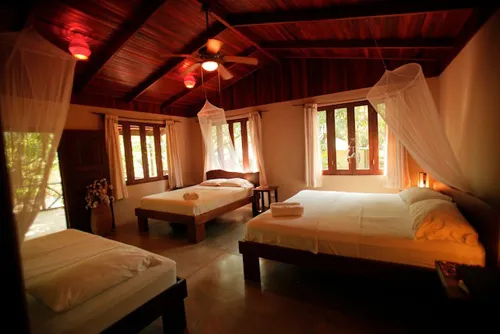 beautiful bed room with king and queen size beds,mosquito nets and large window