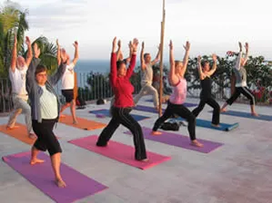 people doing outdoor yoga 