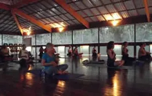 people doing yoga on wooden deck