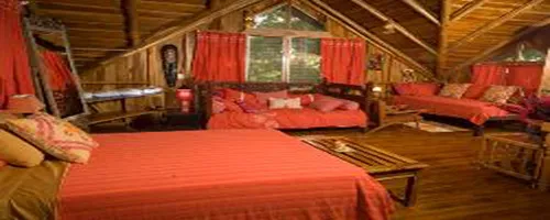beautiful cabina designed using wood and bamboo