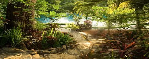 tropical garden with green trees