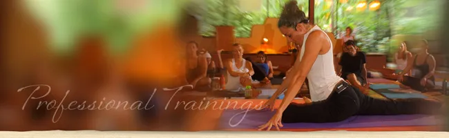a group of people doing hatha yoga