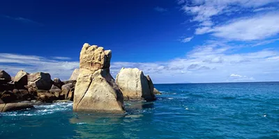 beautiful tropical reaf under blue sky