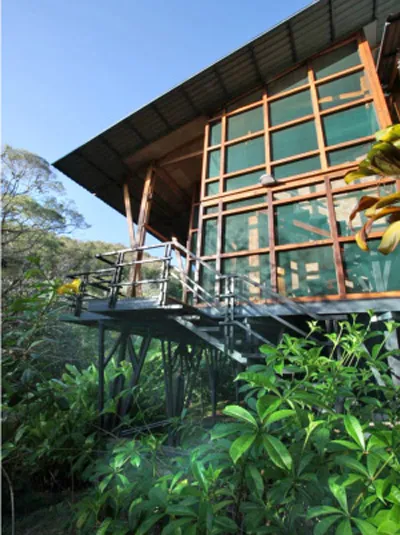 Treehouse built using tropical woods