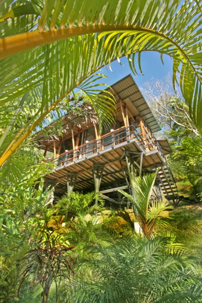 Treehouse made using Japanese architectural flair