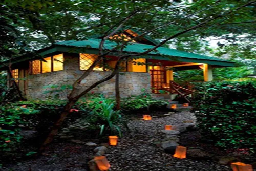 beautiful bungalow midst tropical forest