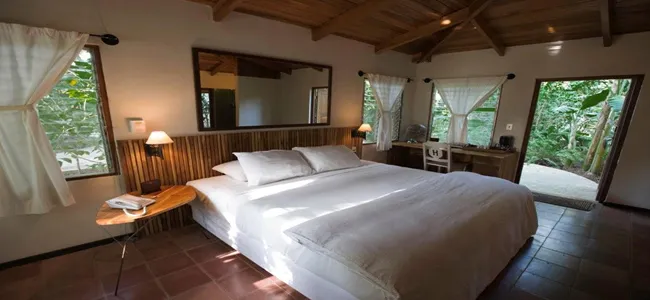 bed room with king size bed, windows and reading table