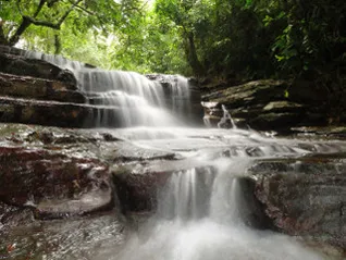 beautiful small waterfall midst tropical forest