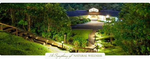 laxurious upscale suite with garden view