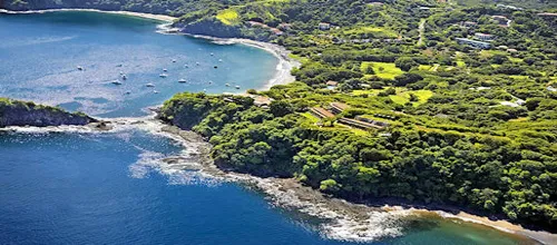 place where playa ocotal meets tropical forest