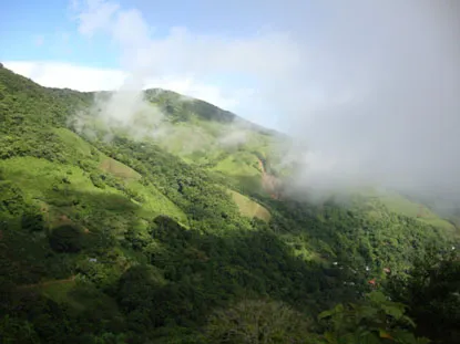 coffee-covered mountains in a lush green valley