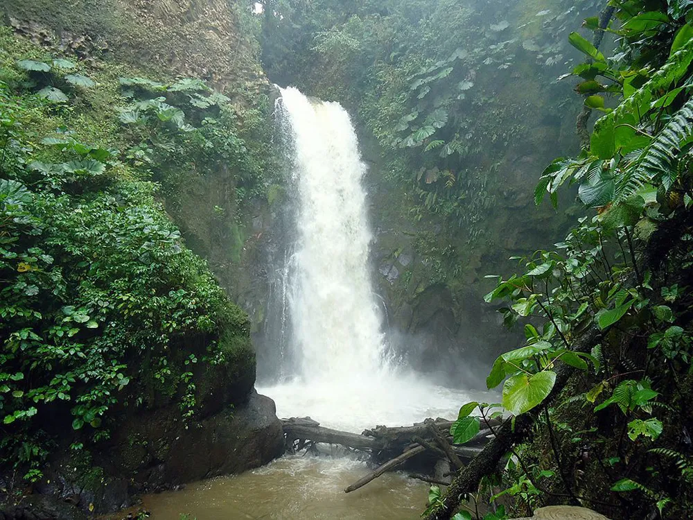 small waterfall at La Paz Waterfall Gardens