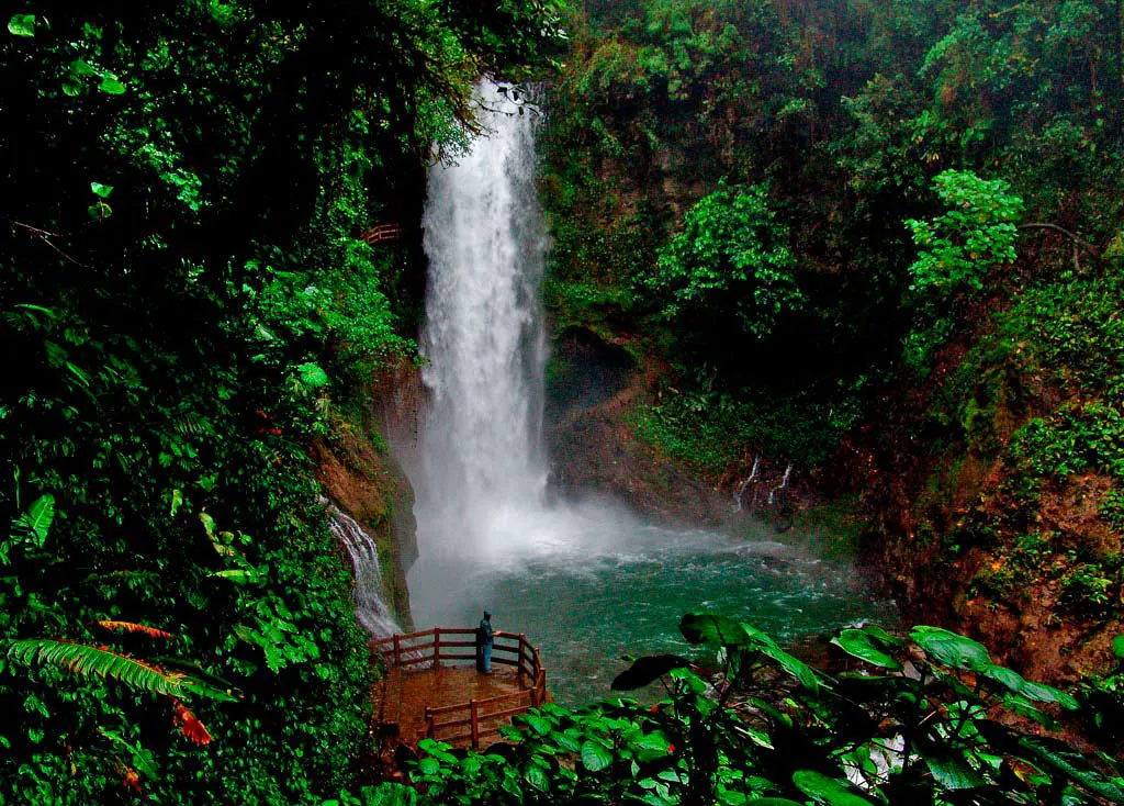 a small but beautiful waterfall at La Paz Waterfall Gardens