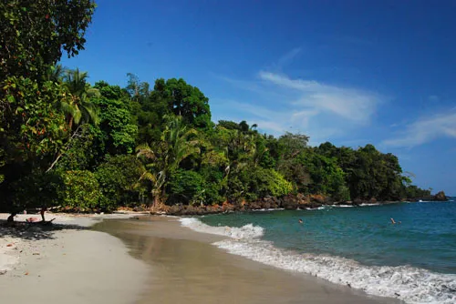 a beautiful sea beach besides tropical forest