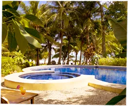 beautiful swimming pool midst tropical garden