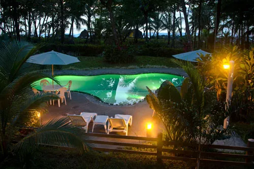 beautiful swimming pool midst tropical garden
