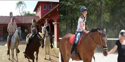 trained and healthy horses of Haras del Mar