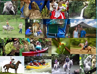 some joyful moments at Leaves and Lizards