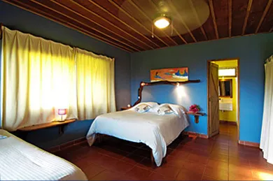 beasutifully decorated room with attached bathroom, king size bed and large windows