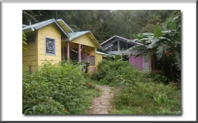 front view of rio shanti lodge