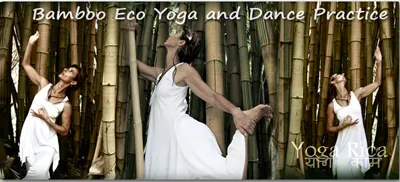 women in white practicing yoga