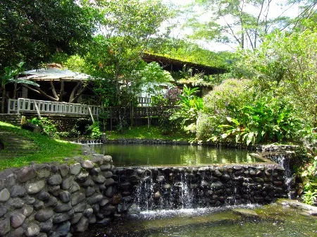rancho margot swimming pool