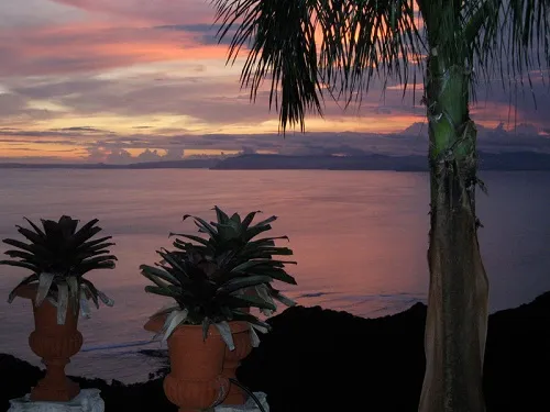 A beautiful scenery around Vida Asana