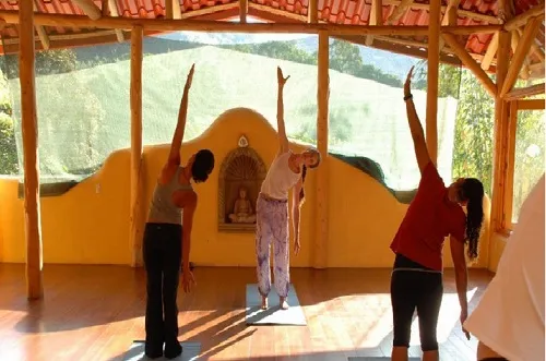 Prople practicing Yoga in the retreat