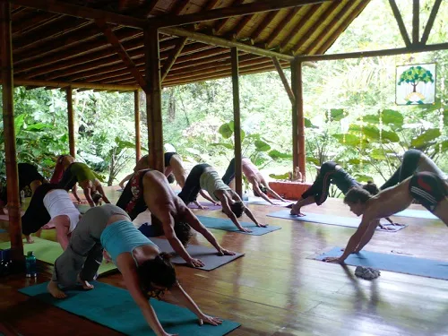 People practicing Yoga