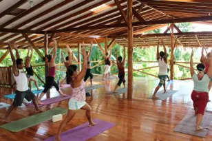 Group of people practicing warrior pose