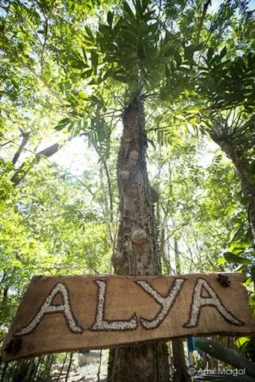 Alya