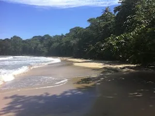 Cocles Beach Caribbean Costa Rica