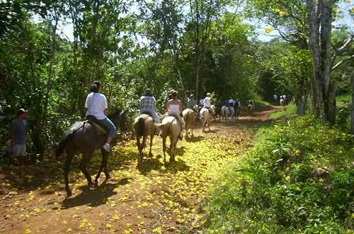 People are enjoying horse riding