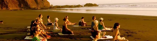 Participants are meditating 