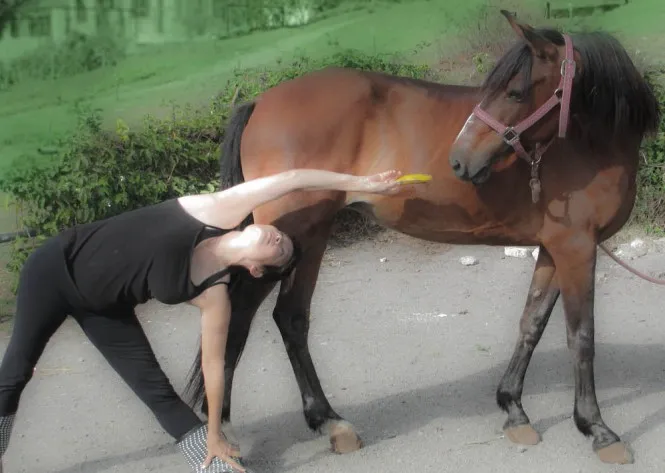 Kindred Spirits - Horse Riding Treks and Retreats 2
