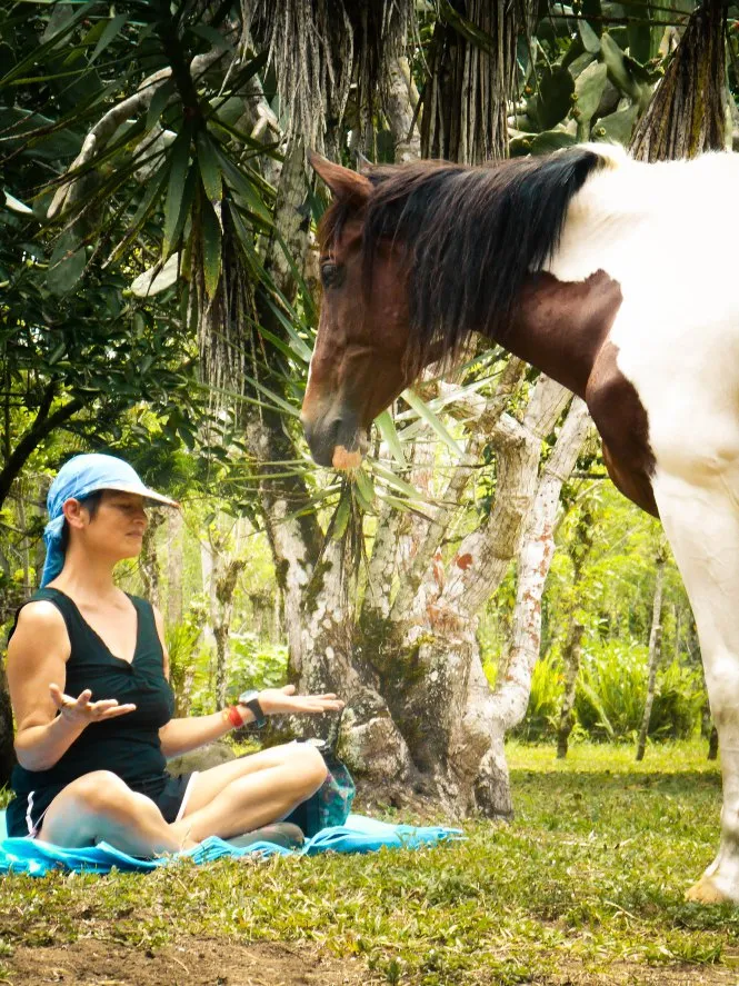 Kindred Spirits - Horse Riding Treks and Retreats 3