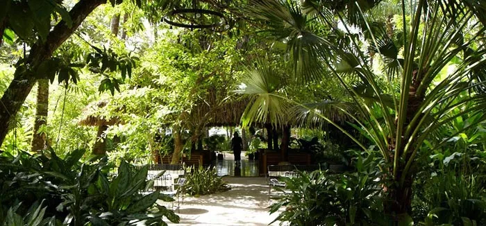 harmony hotel