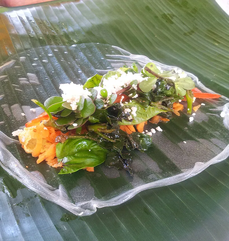 Farm Spring Roll