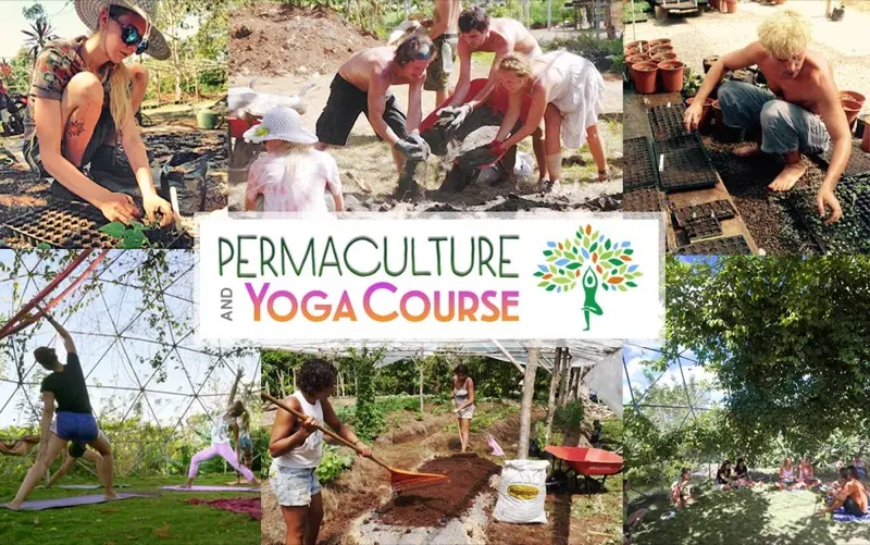 Yoga and Permaculture